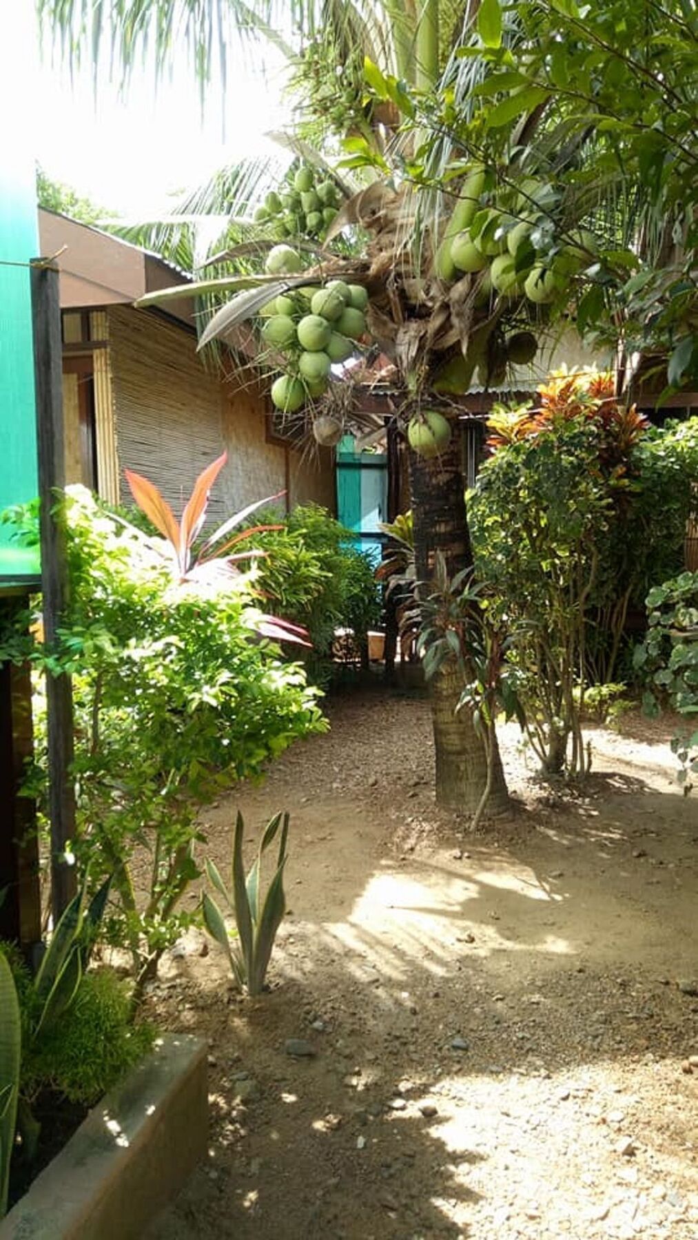 Devayn'S Inn El Nido Exteriör bild